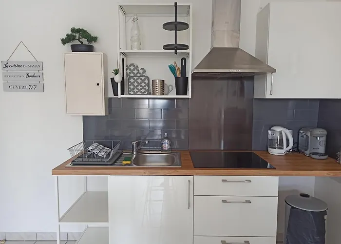 Faubourg De La Cueille - Aux Portes Du Futuroscope Апартаменти *