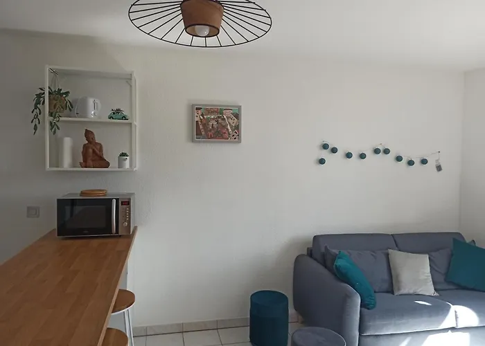 Faubourg De La Cueille - Aux Portes Du Futuroscope Апартаменти Пуатьє